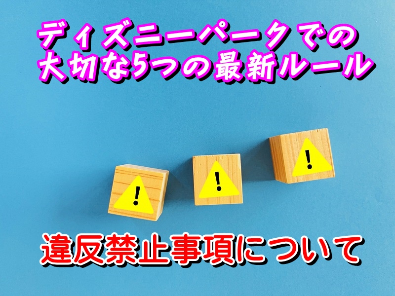 ディズニーパークでの大切な5つの最新ルール&違反禁止事項について