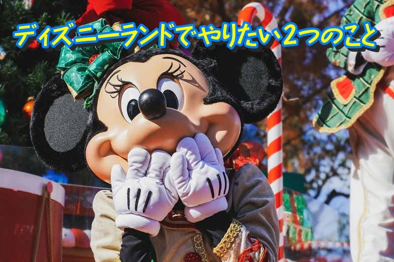 ディズニーランドでやりたい2つのこと