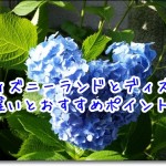 ディズニーデートでの平均予算と便利な持ち物リスト 最低限必要な5選 ディズニー裏マニア