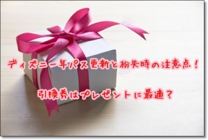 ディズニー年パス