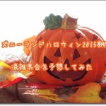 ディズニーハロウィン仮装期間とルール カップルでも簡単なコスプレと衣装ランキング ディズニー裏マニア