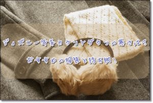 ディズニー　カウントダウン　年末　服装　持ち物