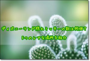 ディズニーランド　隠れミッキー　画像