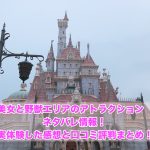 ディズニーオンクラシック春の内容と時間や当日券の買い方は おススメグッズと口コミまとめ ディズニー裏マニア