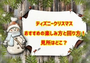 ディズニークリスマス　見所　楽しみ方　回り方
