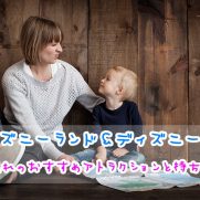 ディズニー年末カウントダウンの寒さは おすすめの服装と持ち物 ディズニー裏マニア