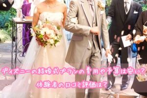 ディズニー　結婚式　費用　口コミ