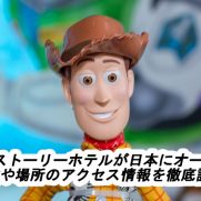 ディズニーで妊婦さんが迷惑をかける2つの理由 緊急搬送された驚きの話 ディズニー裏マニア