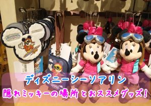 ディズニーシー　隠れミッキー　おすすめグッズ