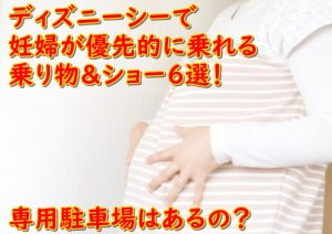 ディズニーシーで妊婦が優先的に乗れる乗り物＆ショー6選！専用駐車場はあるの？　画像