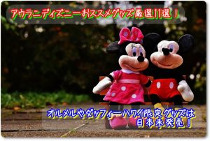 アウラニディズニーおススメグッズ厳選11選！オルメルやダッフィーハワイ限定グッズは日本未発売！