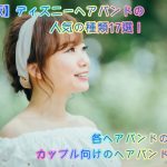 東京ディズニーランド2泊3日の予算とカップル 高校生の最適な楽しみ方 ディズニー裏マニア