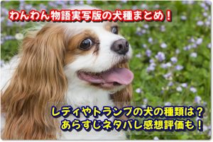 わんわん物語実写版の犬種まとめ！レディやトランプの犬の種類は？あらすじネタバレ感想評価も！