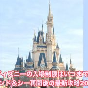 ディズニーの入場制限はいつまで ランド シー再開後の最新攻略21 ディズニー裏マニア