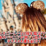 ディズニーシー20周年限定グッズ&スーベニアの買って良かったオススメ4選を紹介！