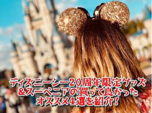 ディズニーシー20周年限定グッズ&スーベニアの買って良かったオススメ4選を紹介！