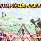 【パークに行く方は知っておきたい】意外と知らないディズニーの用語6選！