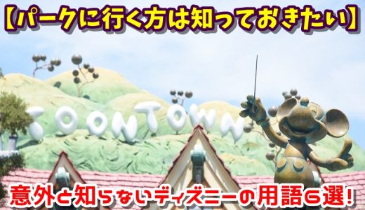 【パークに行く方は知っておきたい】意外と知らないディズニーの用語6選！