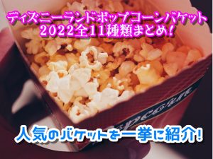 ディズニーランドポップコーンバケット2022全11種類まとめ！人気のバケットを一挙に紹介！