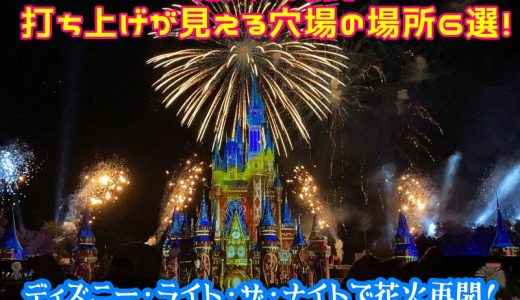 ディズニー花火の時間はいつ？打ち上げが見える穴場の場所6選！ディズニー・ライト・ザ・ナイトで花火再開！