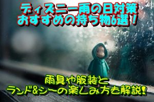 ディズニー雨の日対策おすすめの持ち物6選！雨具や服装とランド&シーの楽しみ方も解説！