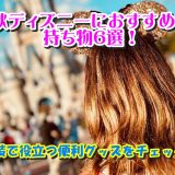 秋ディズニーにおすすめの持ち物6選！仮装で役立つ便利グッズをチェック！