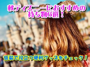 秋ディズニーにおすすめの持ち物6選！仮装で役立つ便利グッズをチェック！