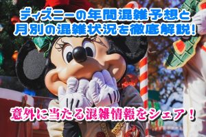 ディズニーの年間混雑予想と月別の混雑状況を徹底解説！意外に当たる混雑情報をシェア！