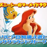 ディズニーシーのマーメイドラグーンのトリビア豆知識4選とバックグラウンドストーリー！