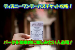 ディズニーワンデーパスチケット攻略！パークを効率的に楽しみたい人必見！
