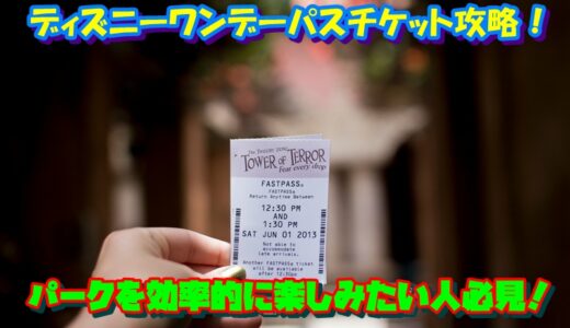 ディズニーワンデーパスチケット攻略！パークを効率的に楽しみたい人必見！