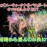 ディズニーウィークナイトパスポートの5つの楽しみ方とは？何時から並ぶのが良い？