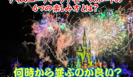 ディズニーウィークナイトパスポートの5つの楽しみ方とは？何時から並ぶのが良い？